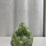 Clutch Mareas verdes